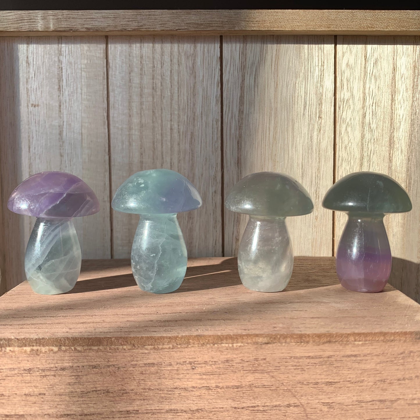 Fluorite Mushrooms (Small)