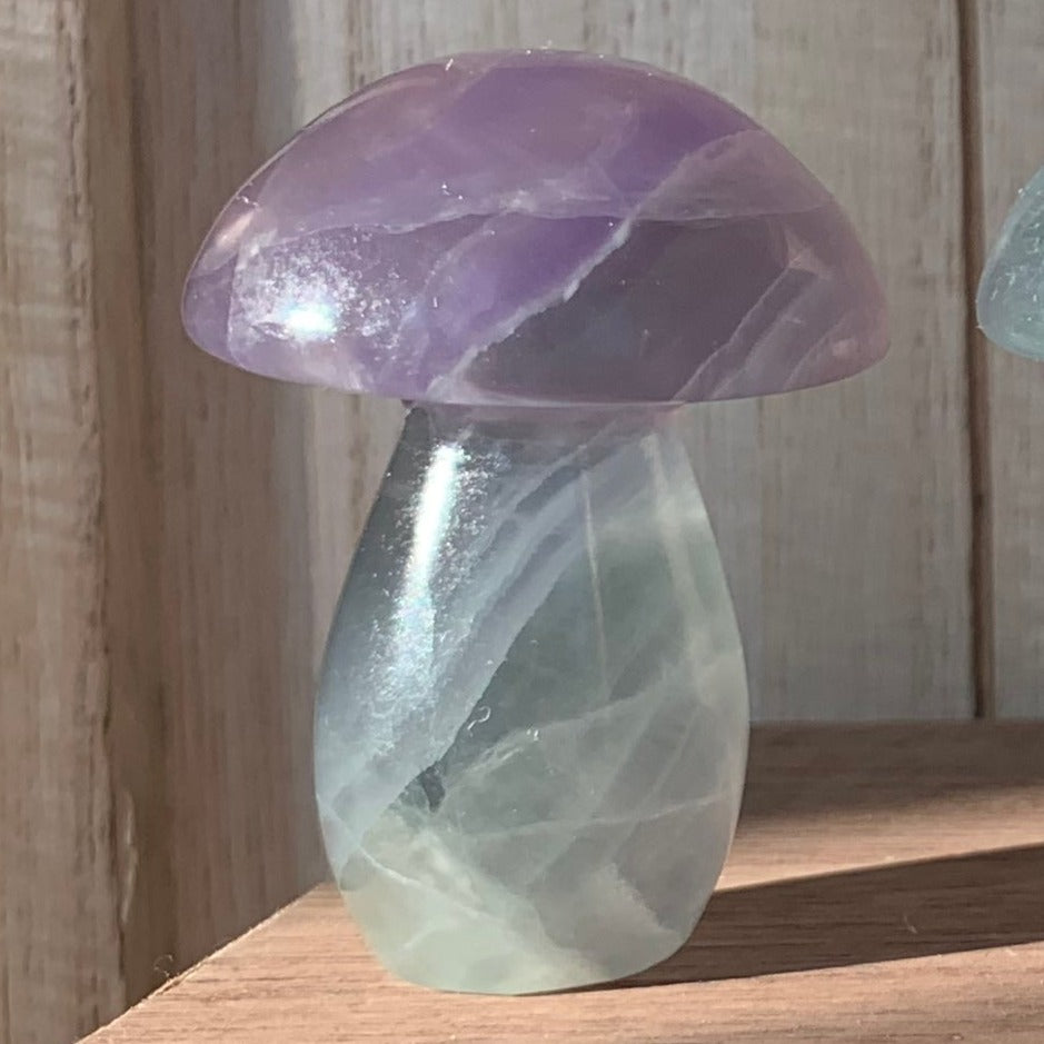 Fluorite Mushrooms (Small)