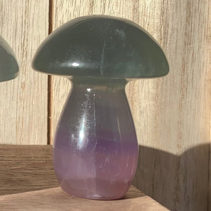 Fluorite Mushrooms (Small)