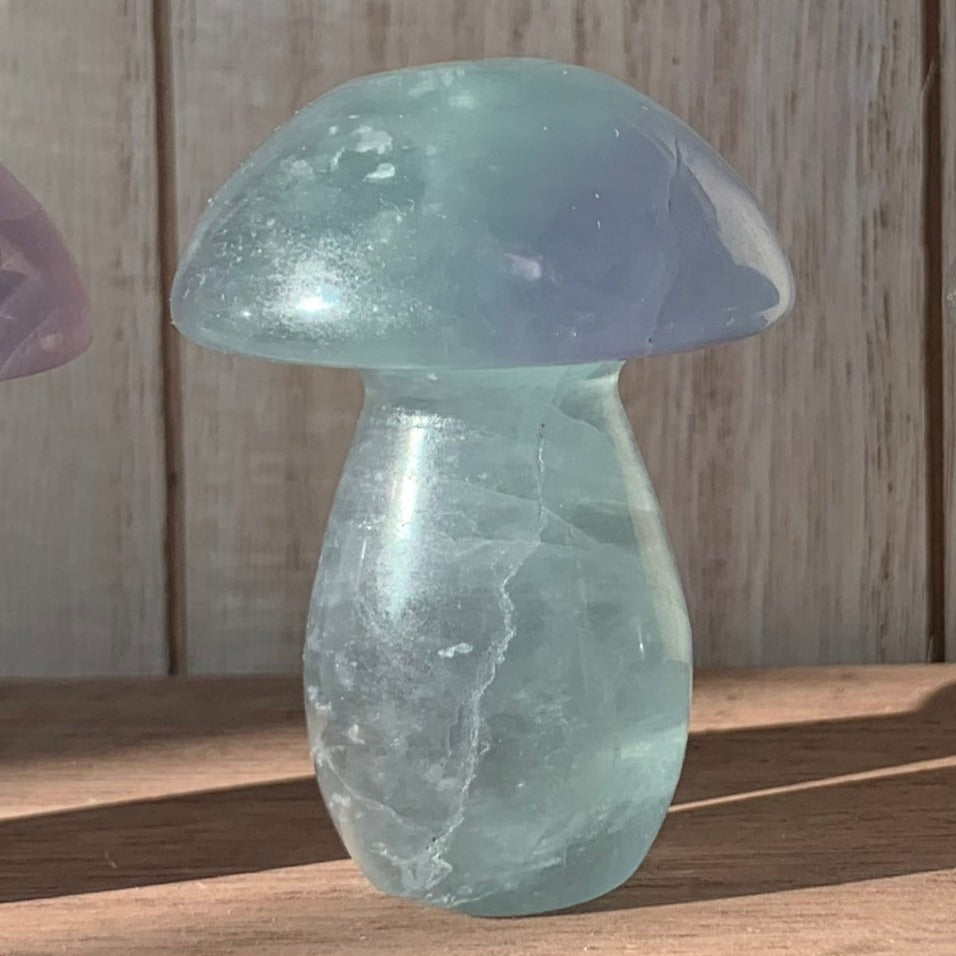 Fluorite Mushrooms (Small)