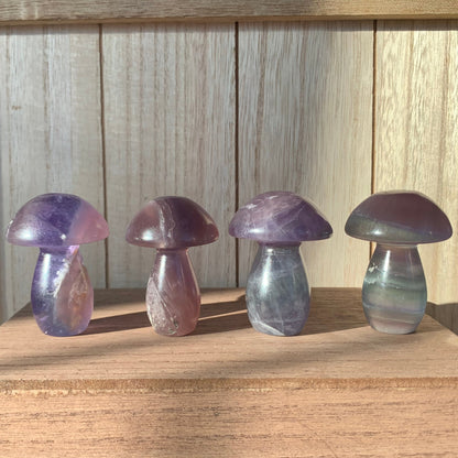 Fluorite Mushrooms (Small)