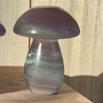 Fluorite Mushrooms (Small)