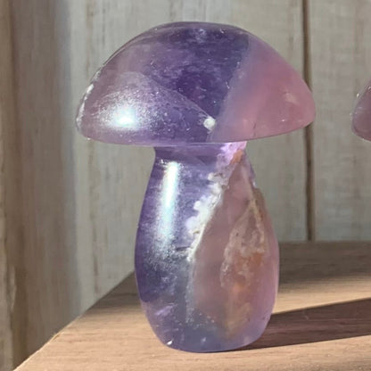 Fluorite Mushrooms (Small)