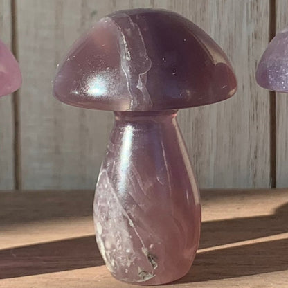 Fluorite Mushrooms (Small)