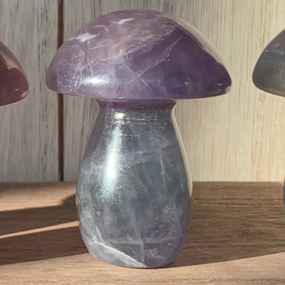 Fluorite Mushrooms (Small)