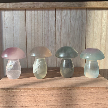 Fluorite Mushrooms (Small)