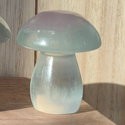 Fluorite Mushrooms (Small)