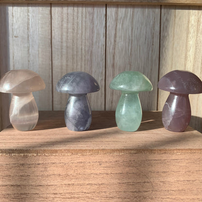 Fluorite Mushrooms (Small)