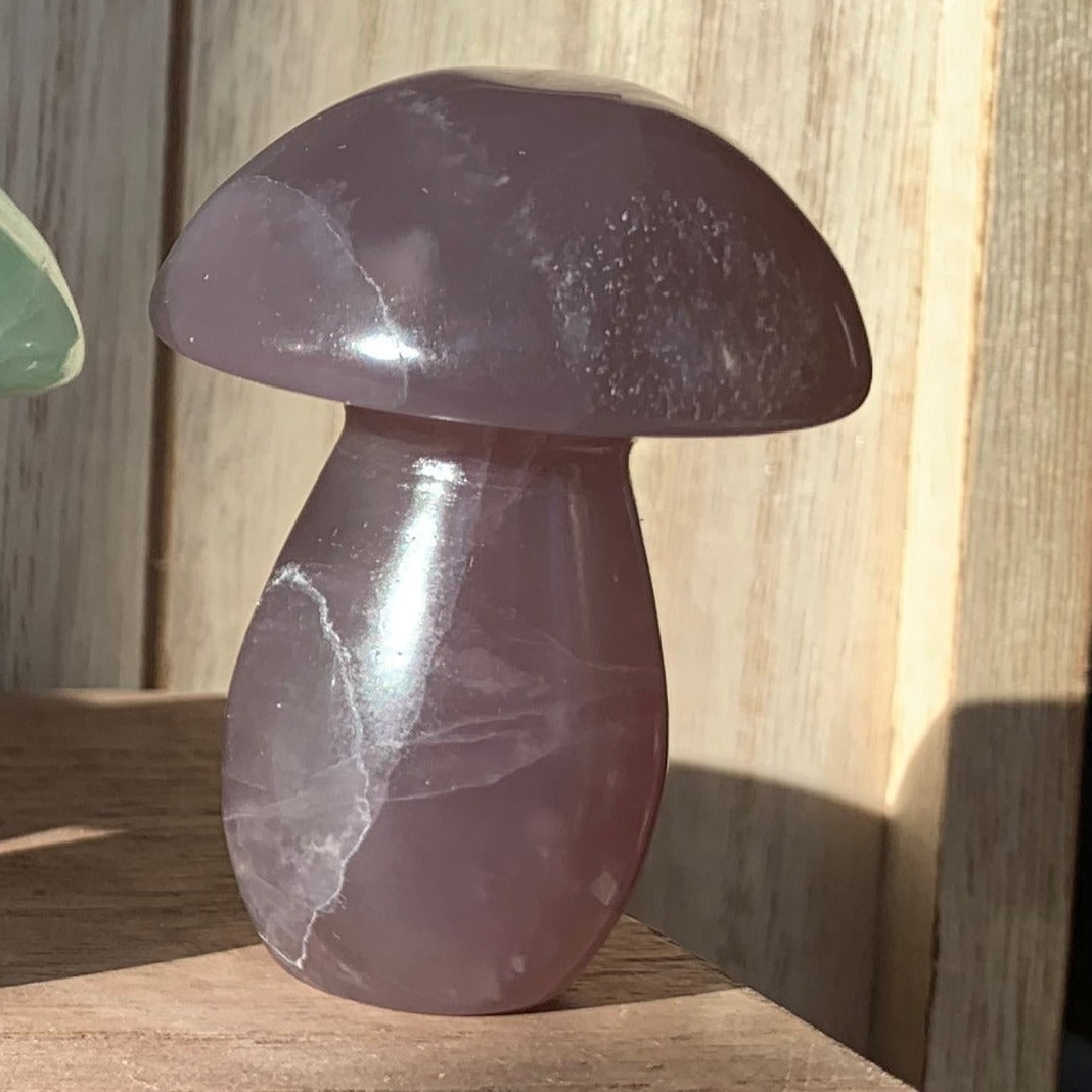 Fluorite Mushrooms (Small)