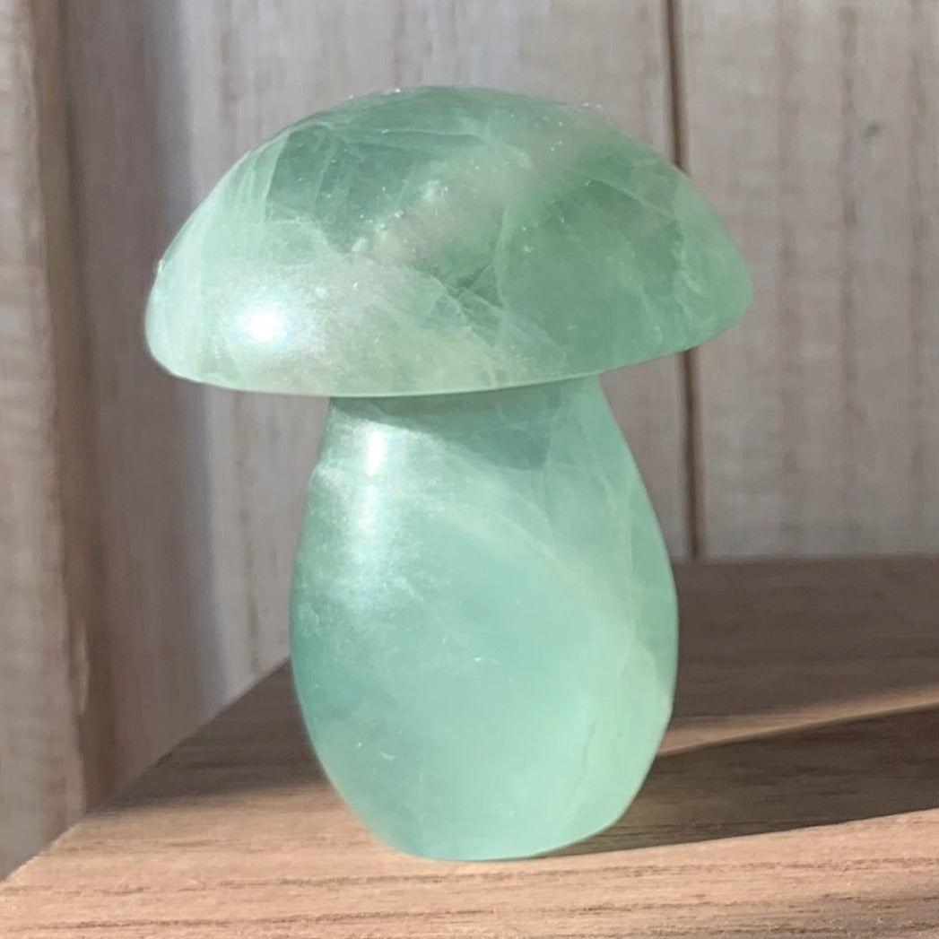 Fluorite Mushrooms (Medium)