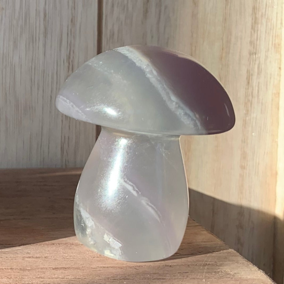 Fluorite Mushrooms (Medium)