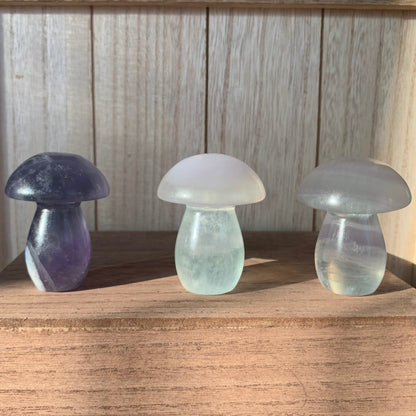 Fluorite Mushrooms (Medium)