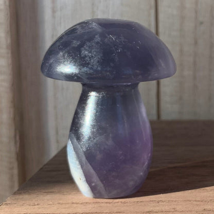 Fluorite Mushrooms (Medium)