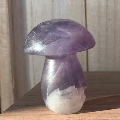 Fluorite Mushrooms (Medium)