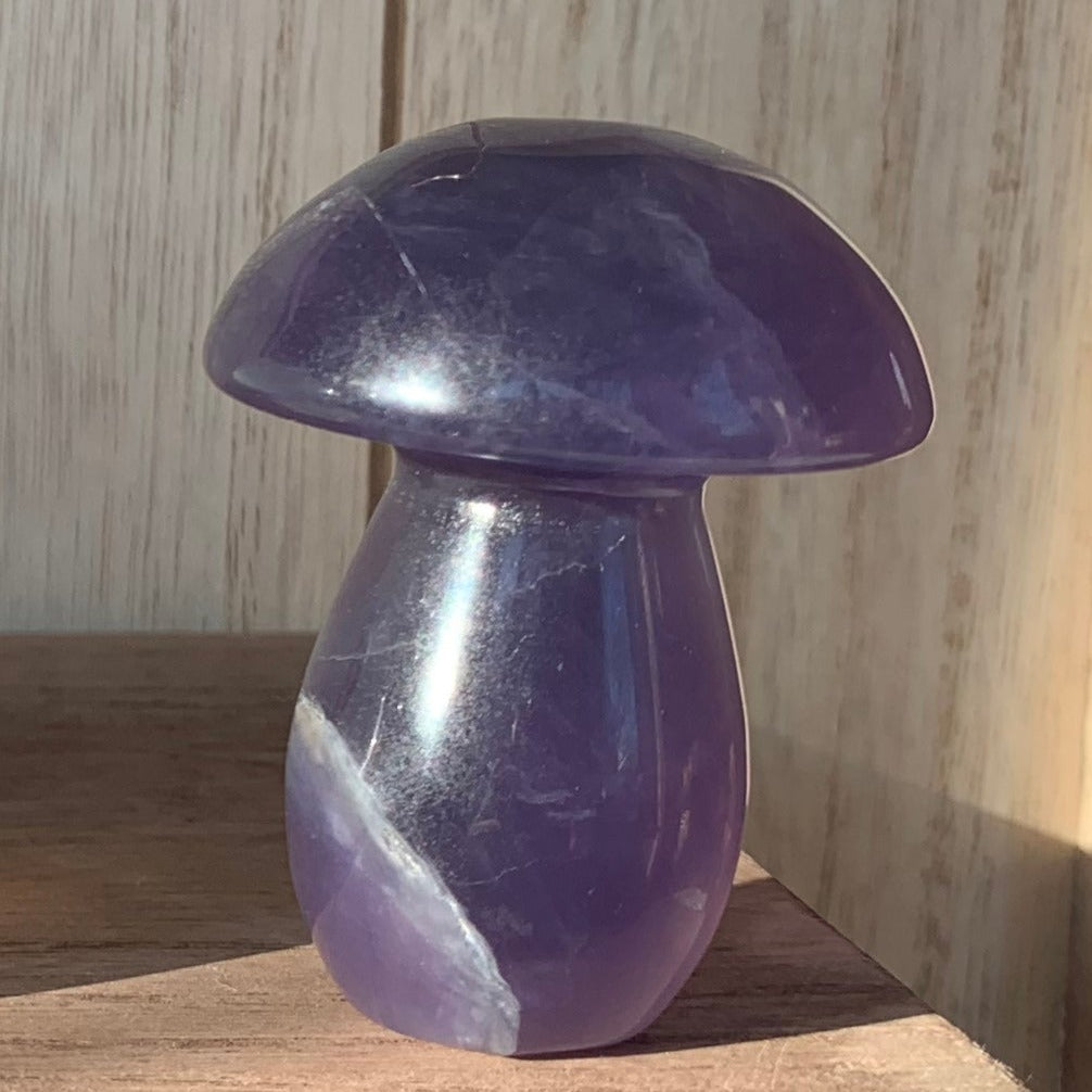 Fluorite Mushrooms (Medium)