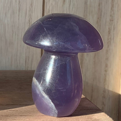 Fluorite Mushrooms (Medium)