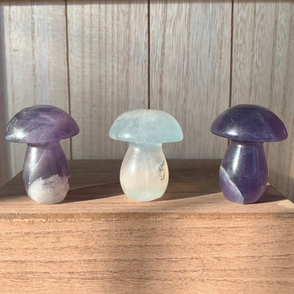 Fluorite Mushrooms (Medium)