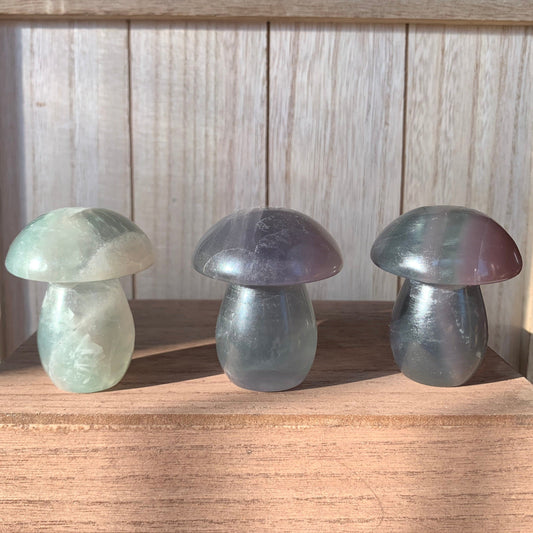 Fluorite Mushrooms (Large)