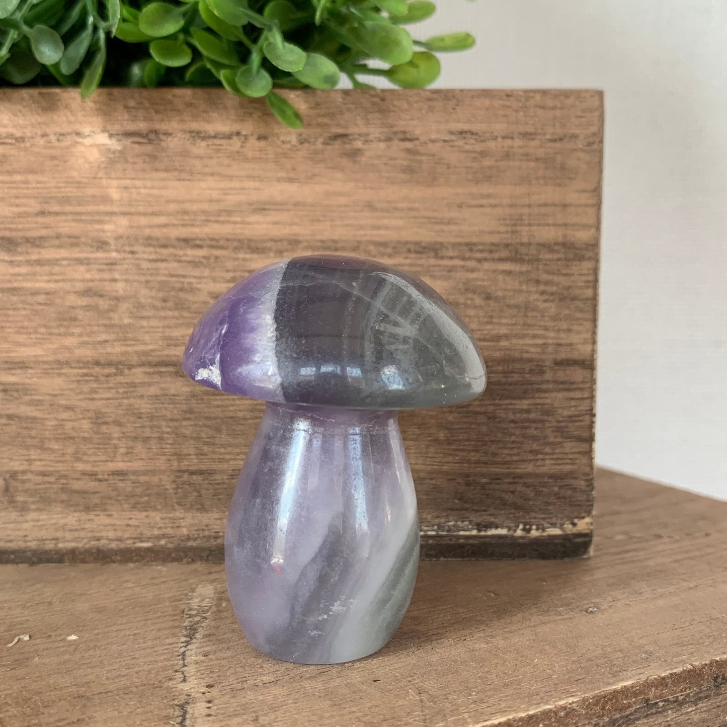 Fluorite Mushrooms (Medium)