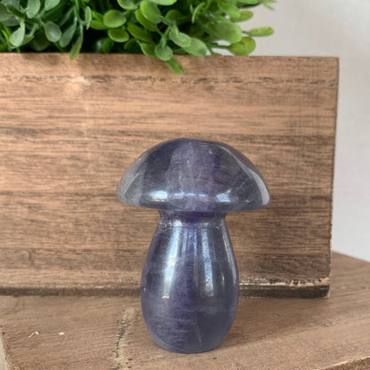 Fluorite Mushrooms (Medium)