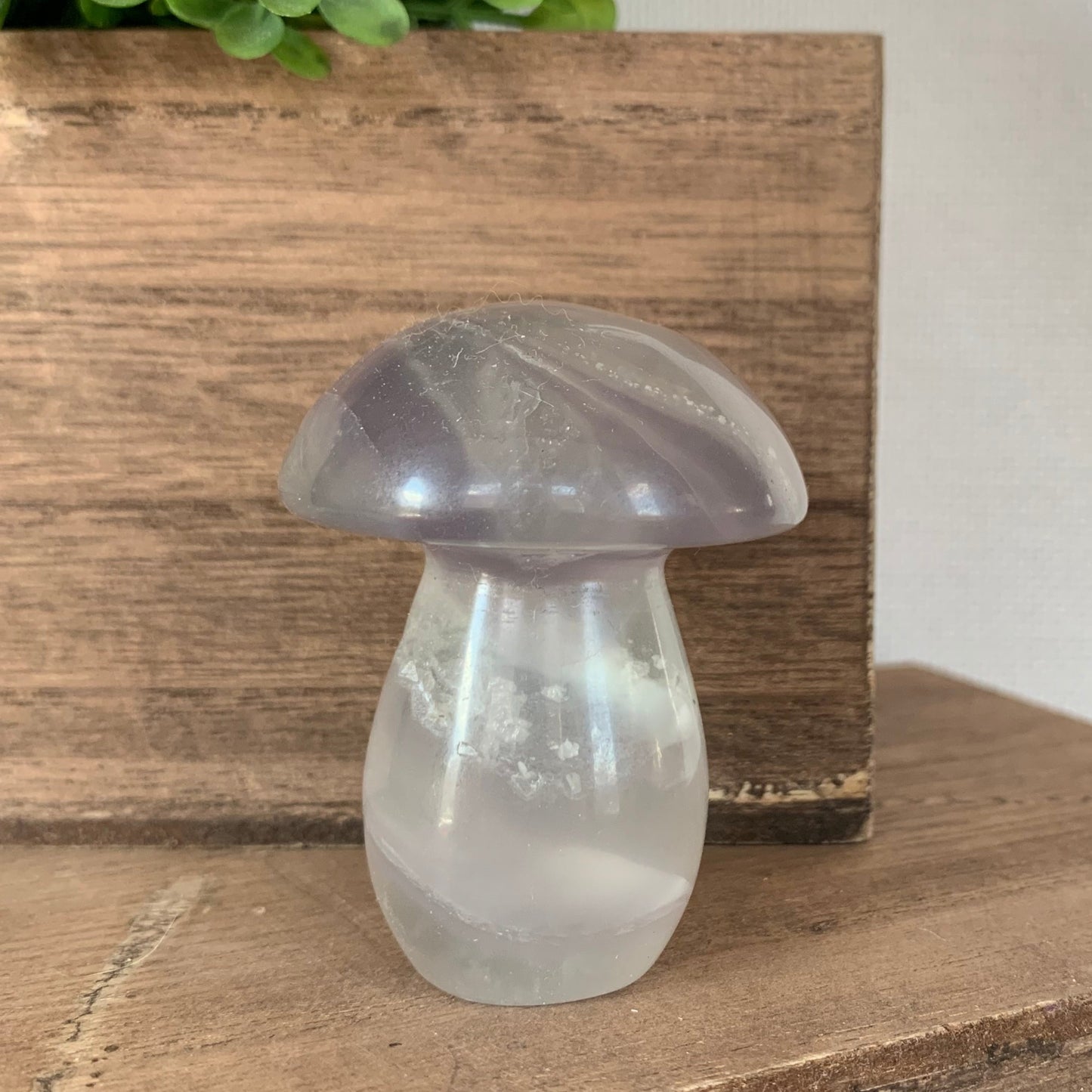 Fluorite Mushrooms (Medium)