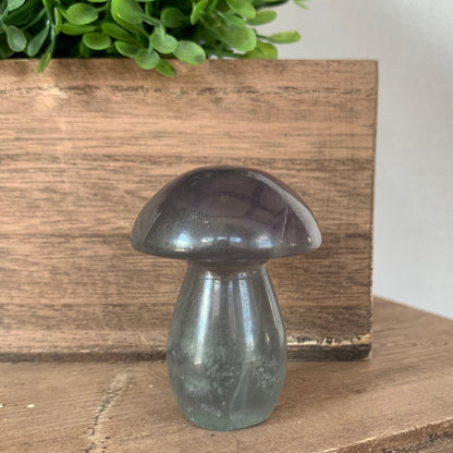 Fluorite Mushrooms (Medium)