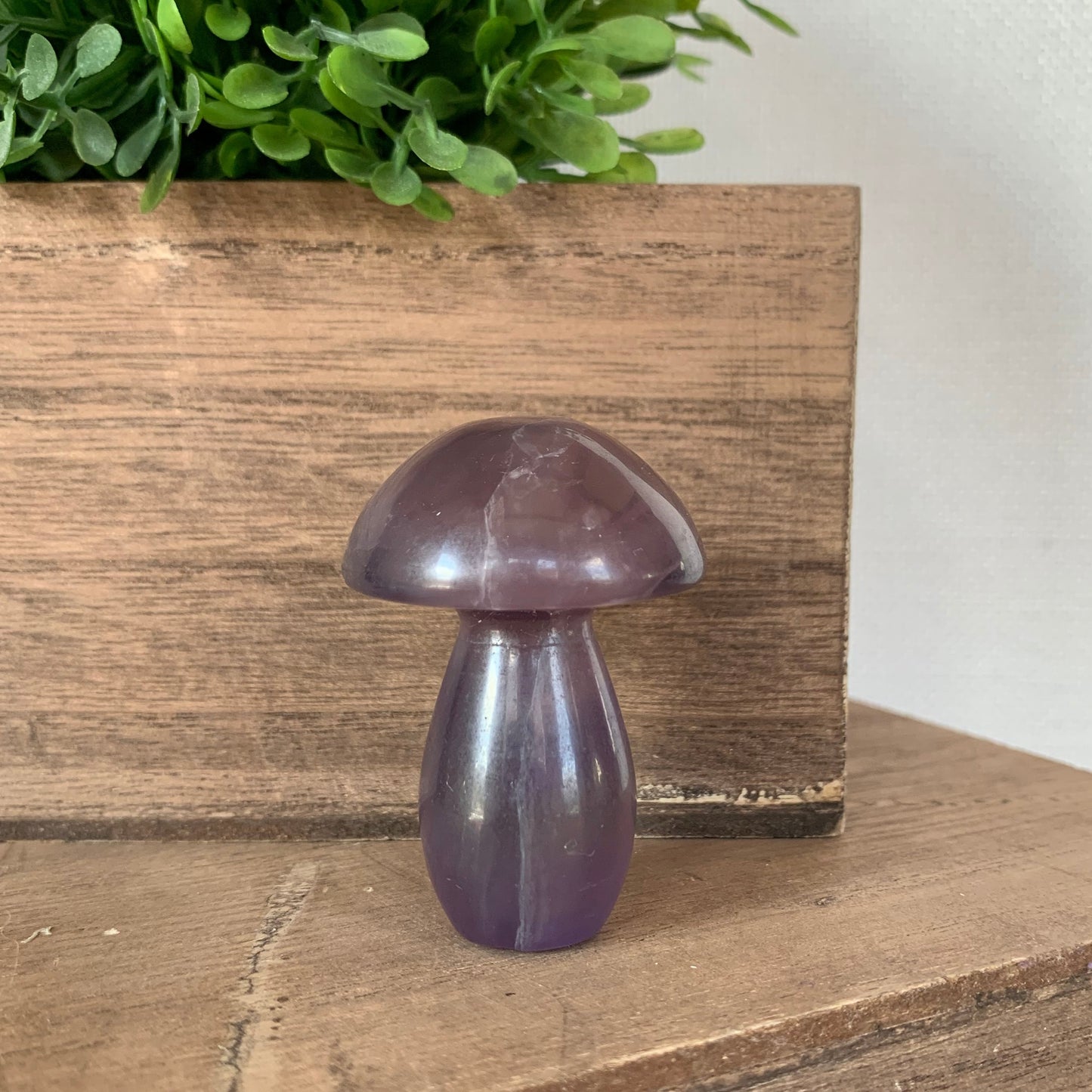 Fluorite Mushrooms (Small)