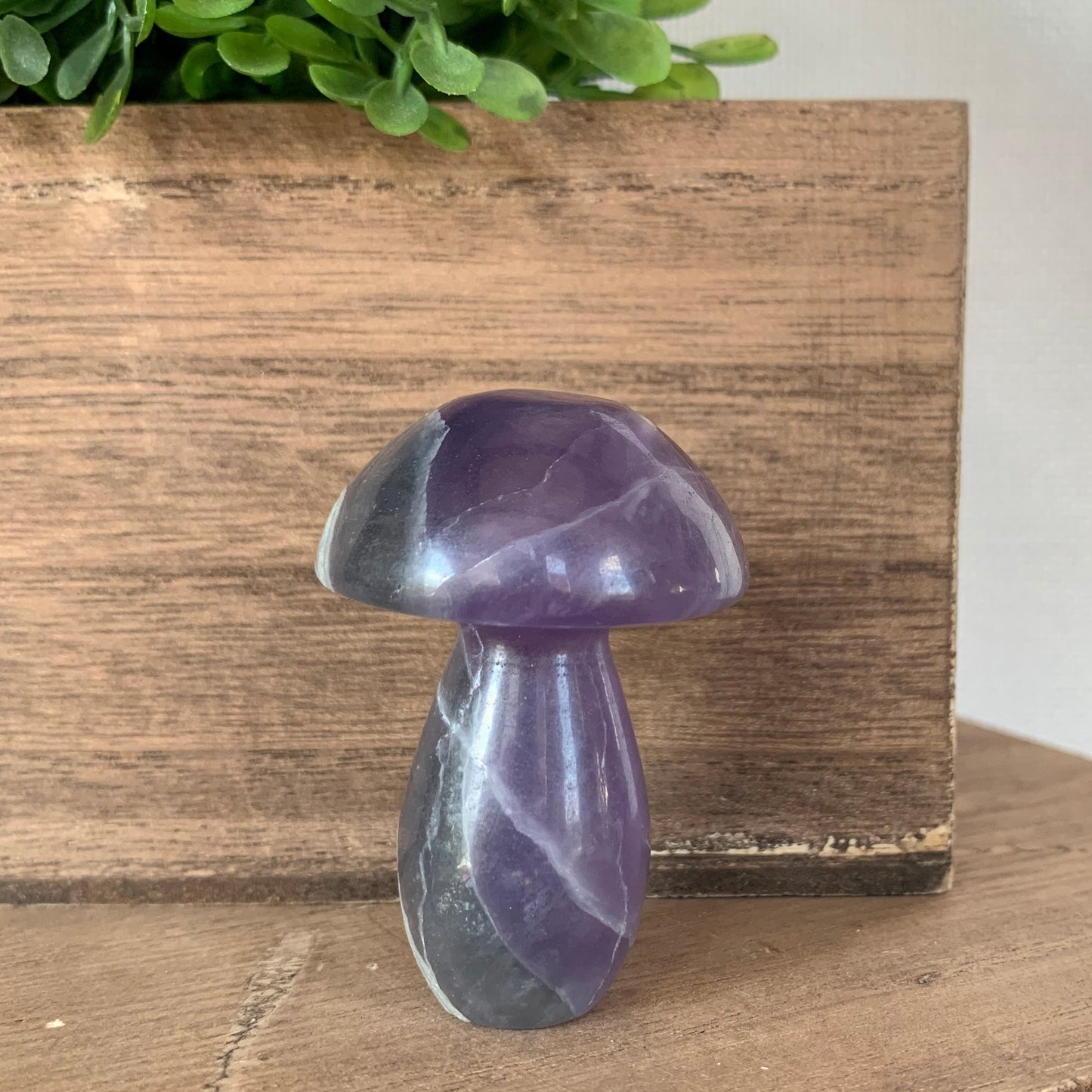 Fluorite Mushrooms (Small)