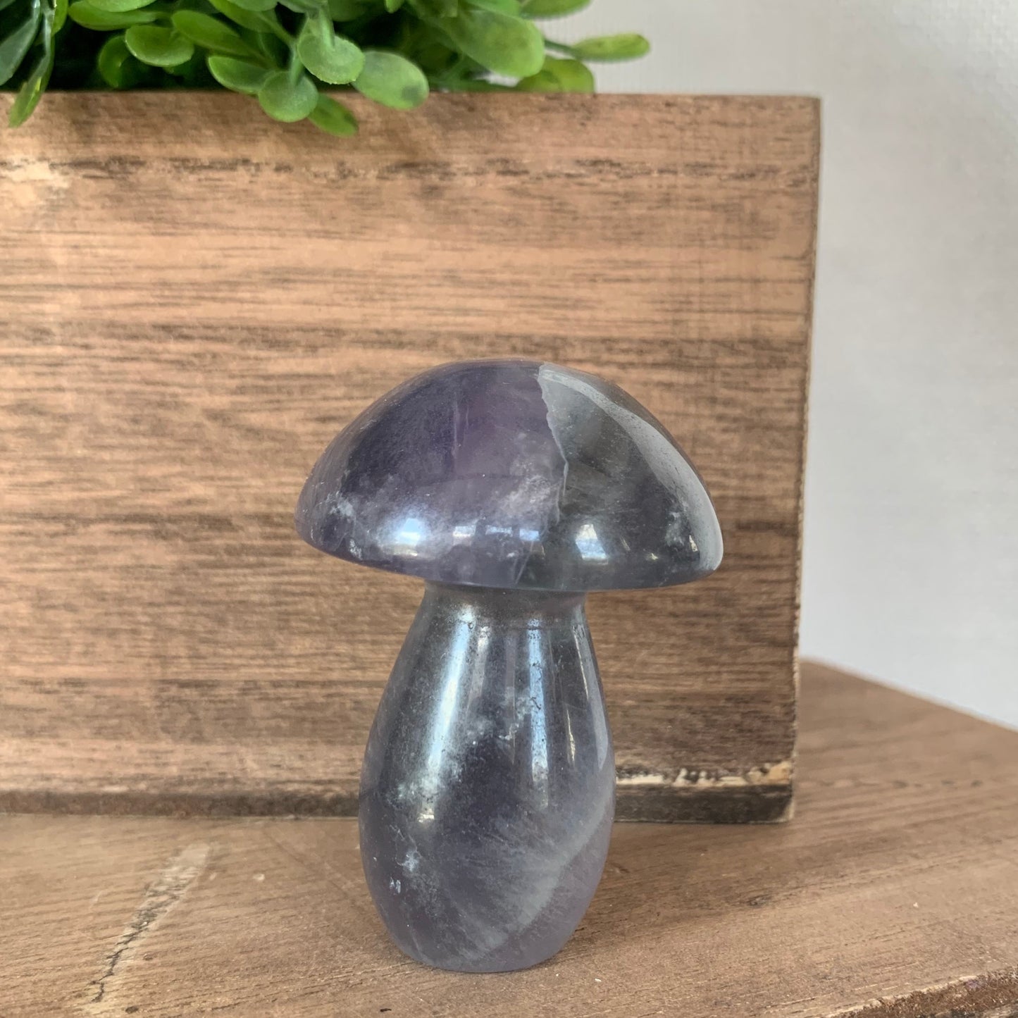 Fluorite Mushrooms (Small)