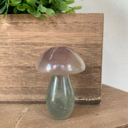 Fluorite Mushrooms (Small)