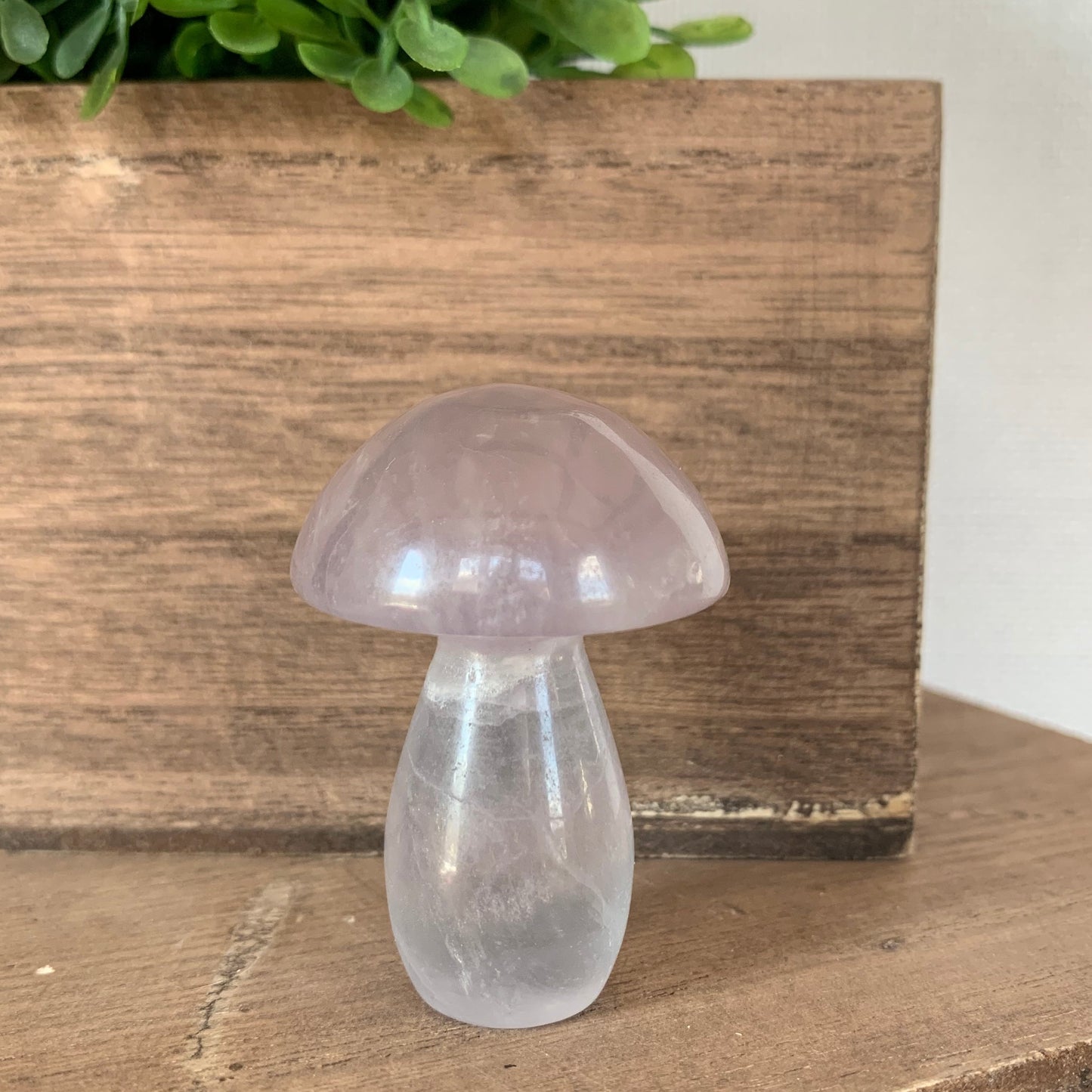 Fluorite Mushrooms (Small)