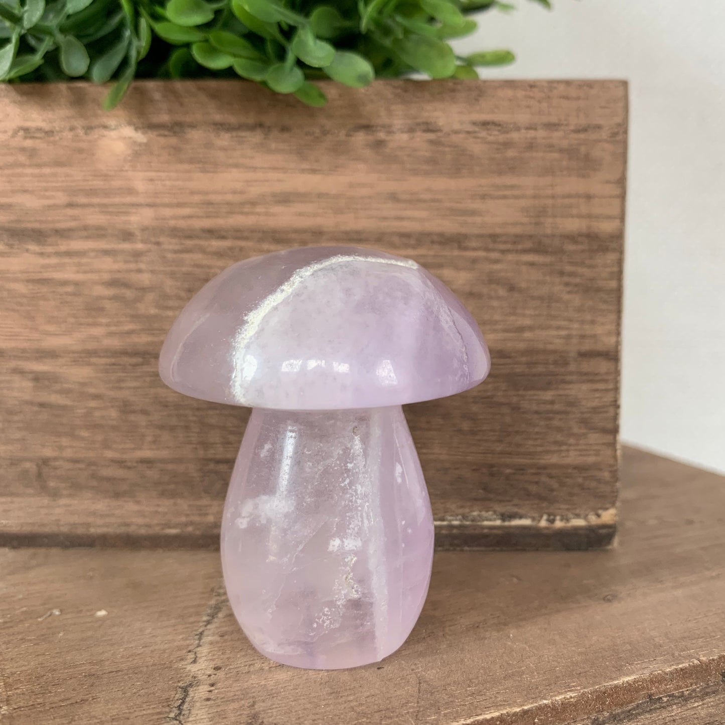 Fluorite Mushrooms (Medium)