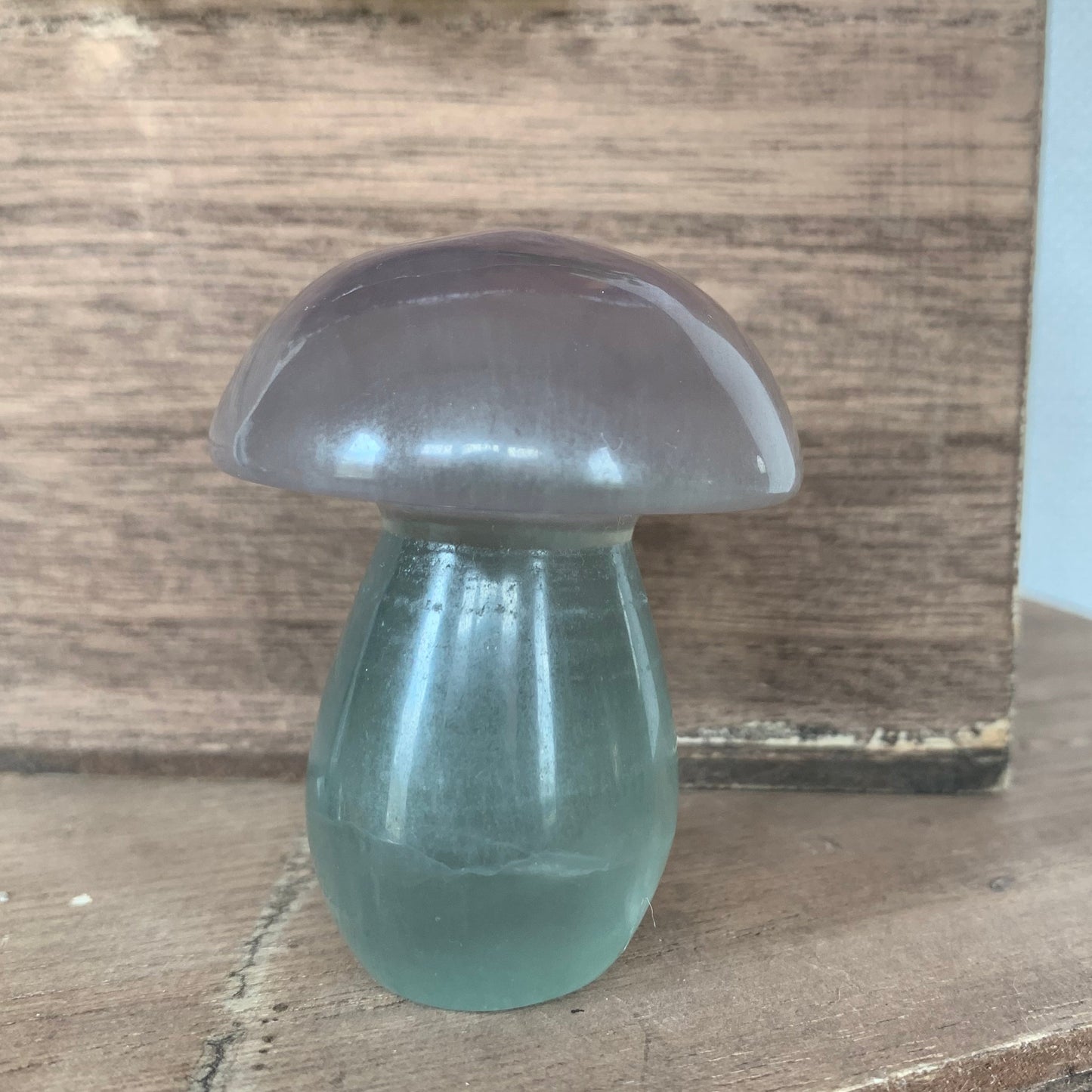 Fluorite Mushrooms (Medium)