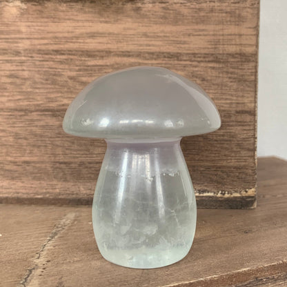 Fluorite Mushrooms (Medium)