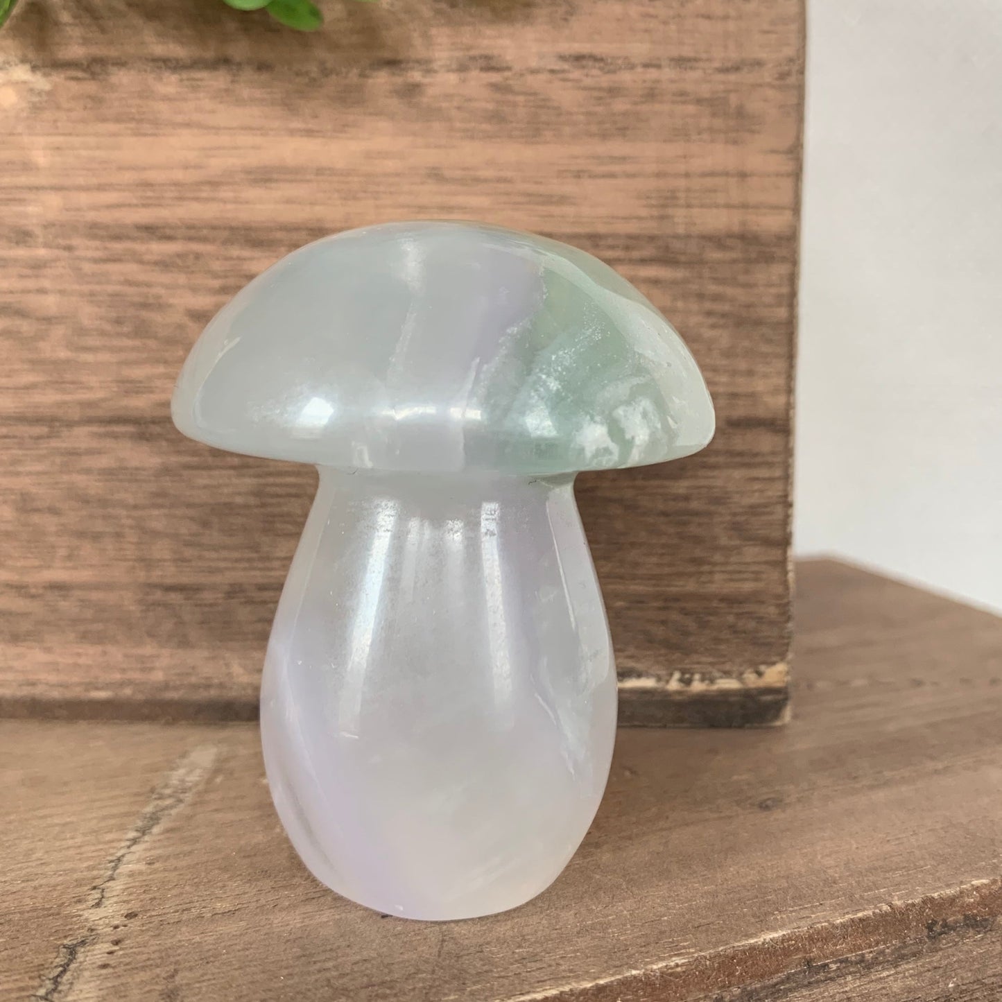 Fluorite Mushrooms (Large)