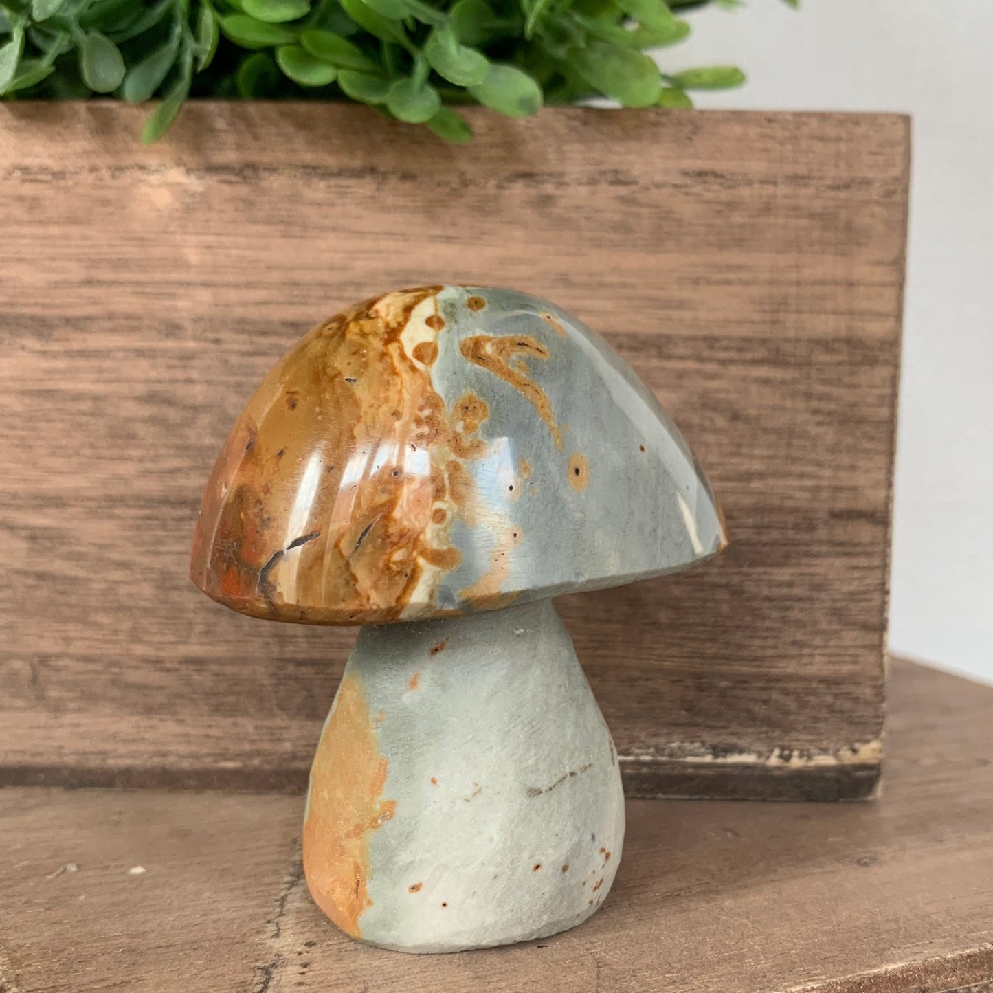 Polychrome Jasper Mushrooms