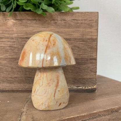 Polychrome Jasper Mushrooms