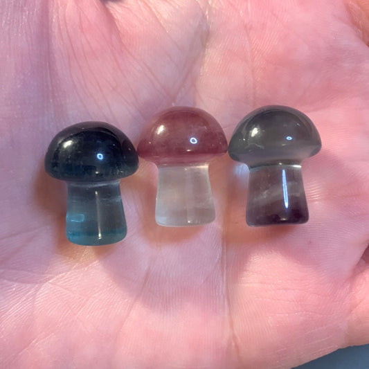 Mini Fluorite Mushrooms