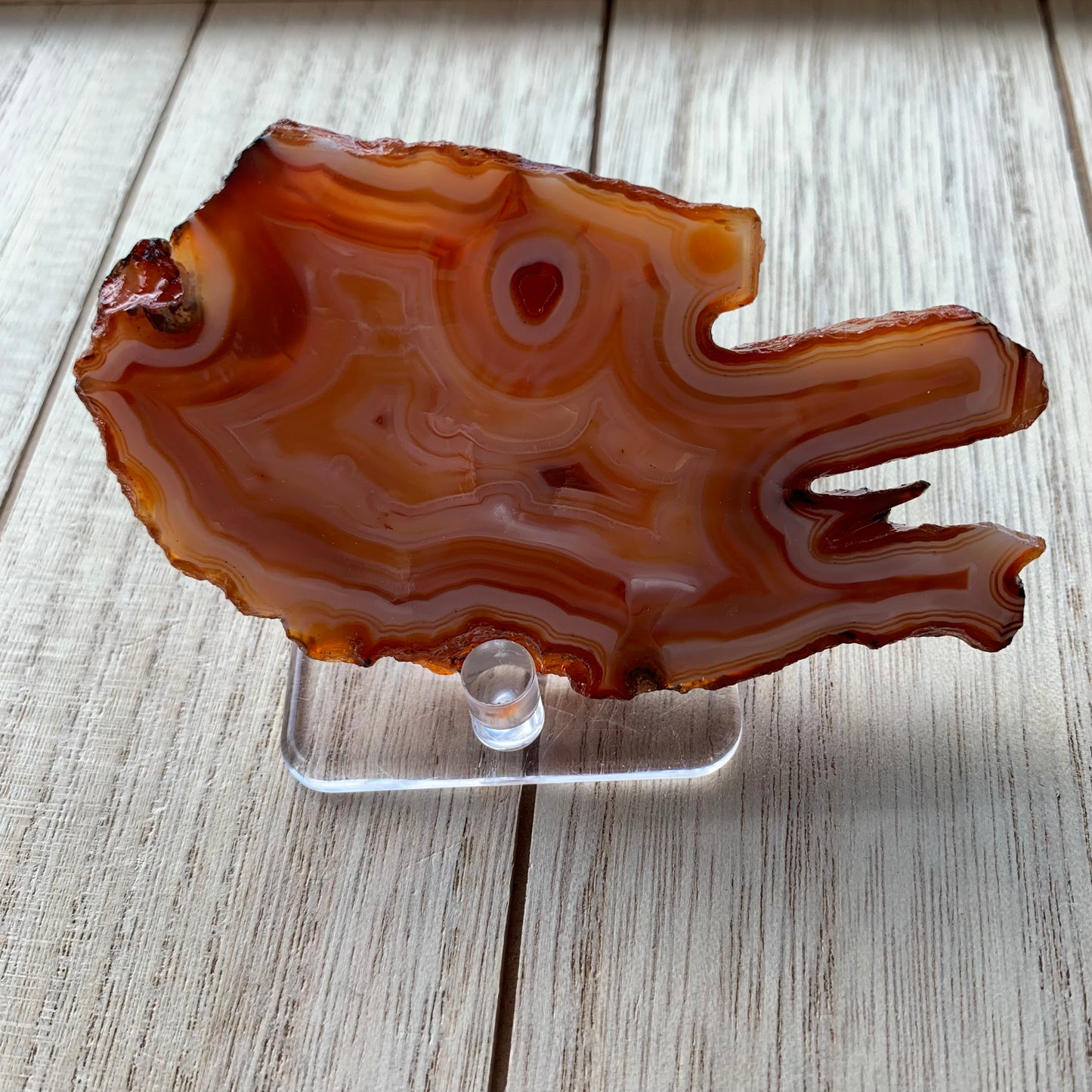 Banded Carnelian Slabs