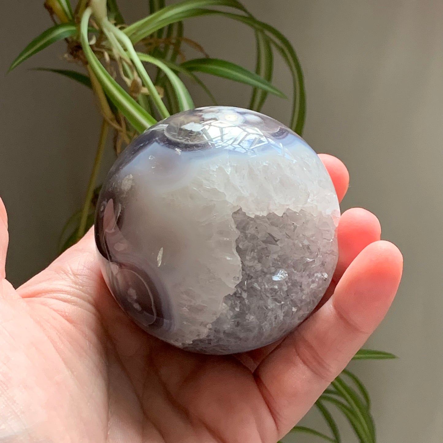 Druzy Black Flower Agate Sphere - 62mm